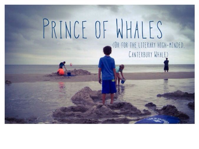 Also would have accepted: One Good Tern, All Conched Out