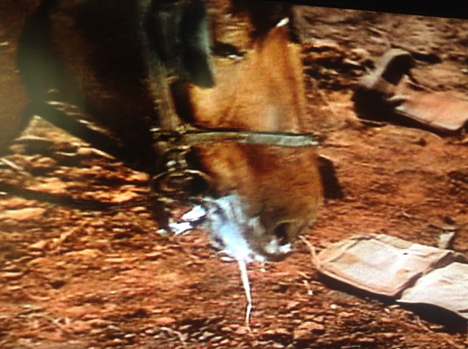 A. It’s turning into glue. Geez, Will, it’s thirsty, it’s been walking a hundred miles or so without stopping. Just hush and watch the stupid movie.