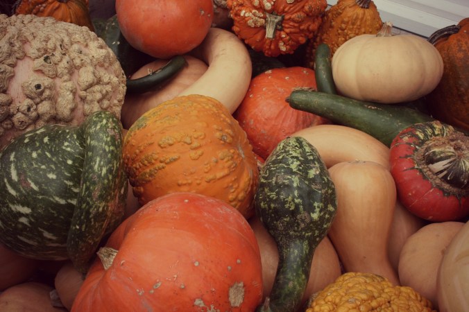 Gourds