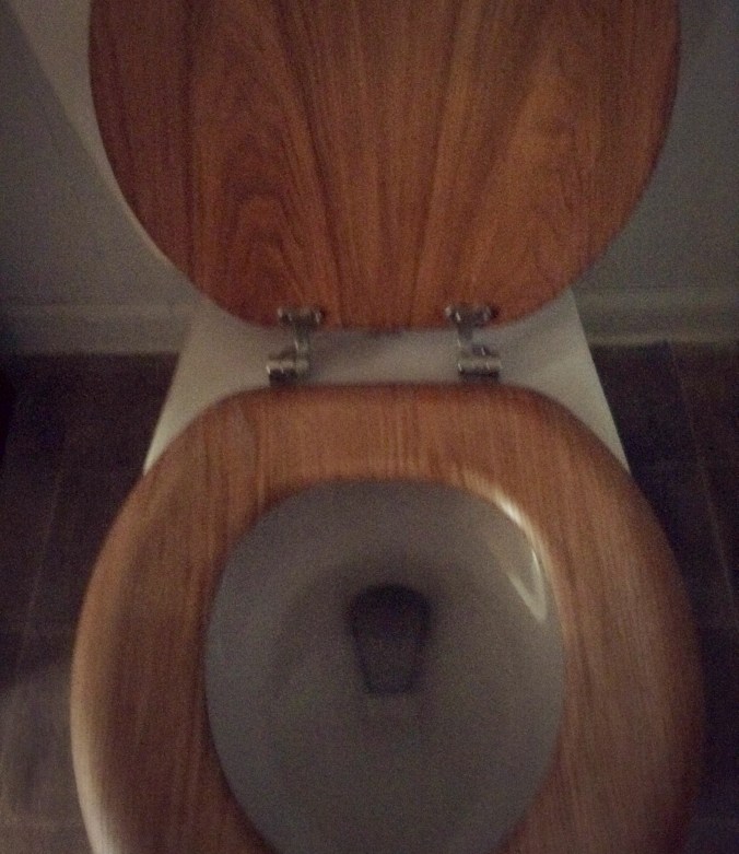 toilet